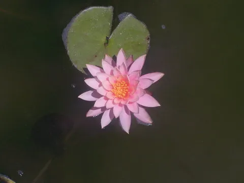 智能预测工具限时体验